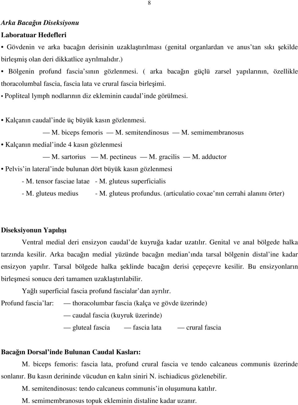 Popliteal lymph nodlarının diz ekleminin caudal inde görülmesi. Kalçanın caudal inde üç büyük kasın gözlenmesi. M. biceps femoris M. semitendinosus M.