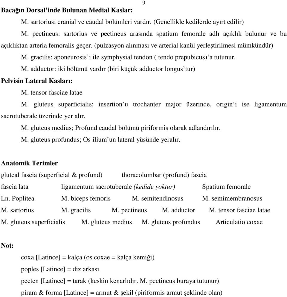 gracilis: aponeurosis i ile symphysial tendon ( tendo prepubicus) a tutunur. M. adductor: iki bölümü vardır (biri küçük adductor longus tur) Pelvisin Lateral Kasları: M. tensor fasciae latae M.