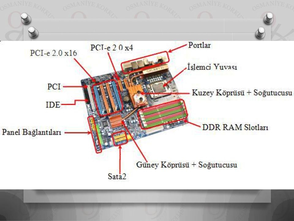 Üzerinde mikroişlemci soketi, RAM slotu, genişleme yuvaları (ISA, PCI, AGP ve PCI-e), BIOS, donanım kartları (dâhilî), veri yolları ve bağlantı noktalarını bulundurur.