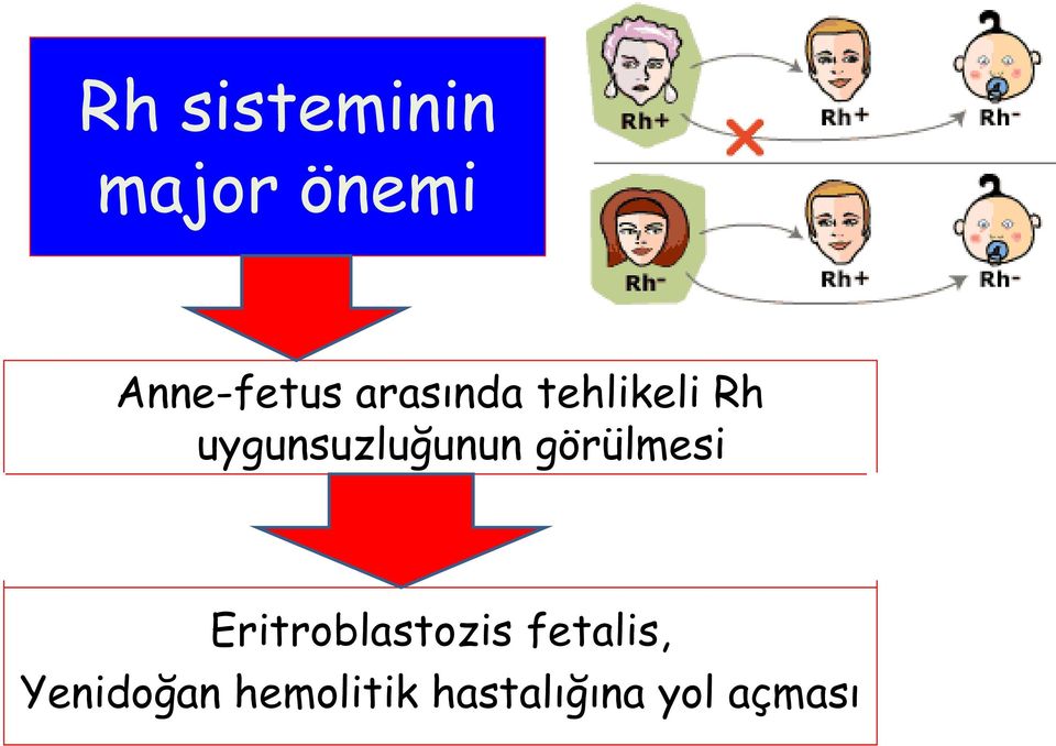 görülmesi Eritroblastozis fetalis,