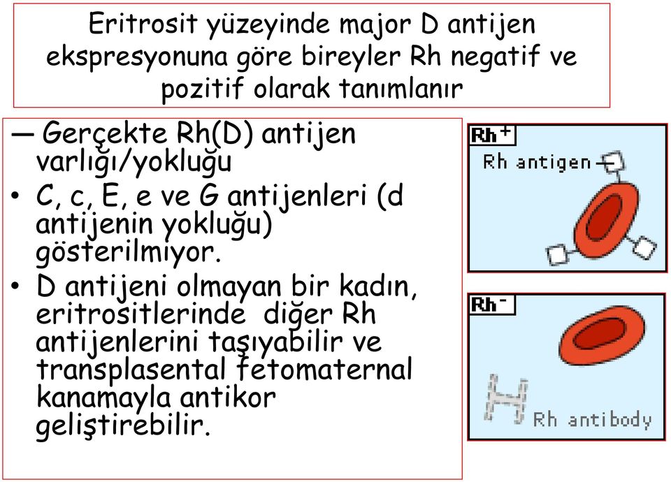 antijenin yokluğu) gösterilmiyor.