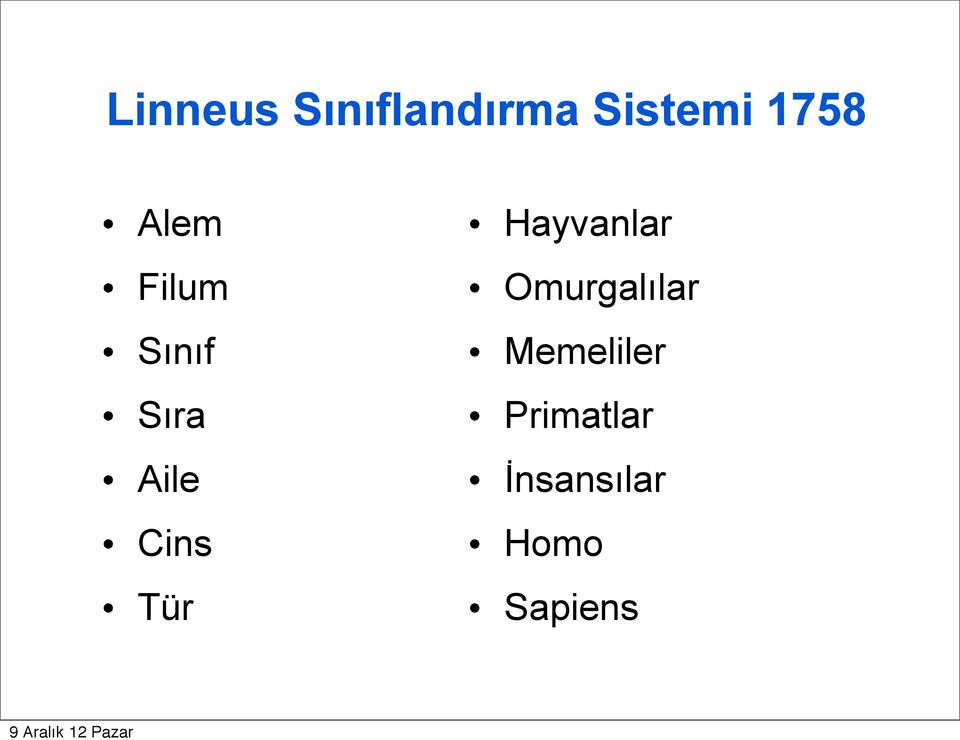 Cins Tür Hayvanlar Omurgalılar