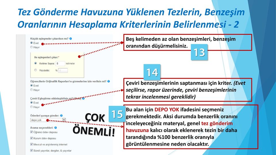 (Evet seçilirse, rapor üzerinde, çeviri benzeşimlerinin tekrar incelenmesi gereklidir) Bu alan için DEPO YOK ifadesini seçmeniz