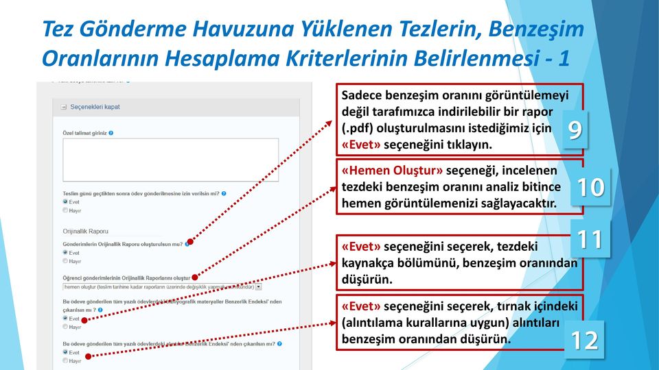 «Hemen Oluştur» seçeneği, incelenen tezdeki benzeşim oranını analiz bitince hemen görüntülemenizi sağlayacaktır.