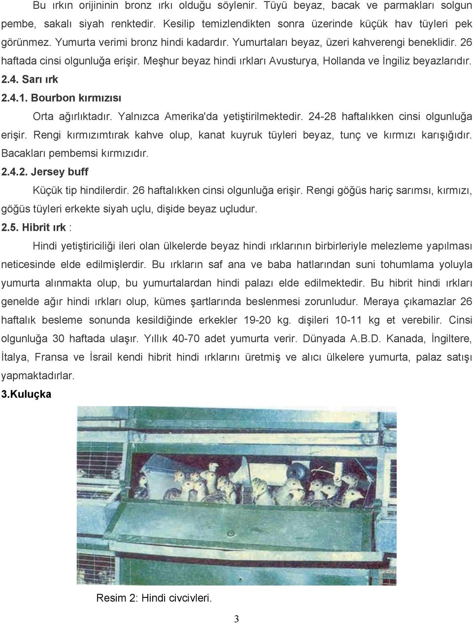 Sarı ırk 2.4.1. Bourbon kırmızısı Orta ağırlıktadır. Yalnızca Amerika'da yetiştirilmektedir. 24-28 haftalıkken cinsi olgunluğa erişir.