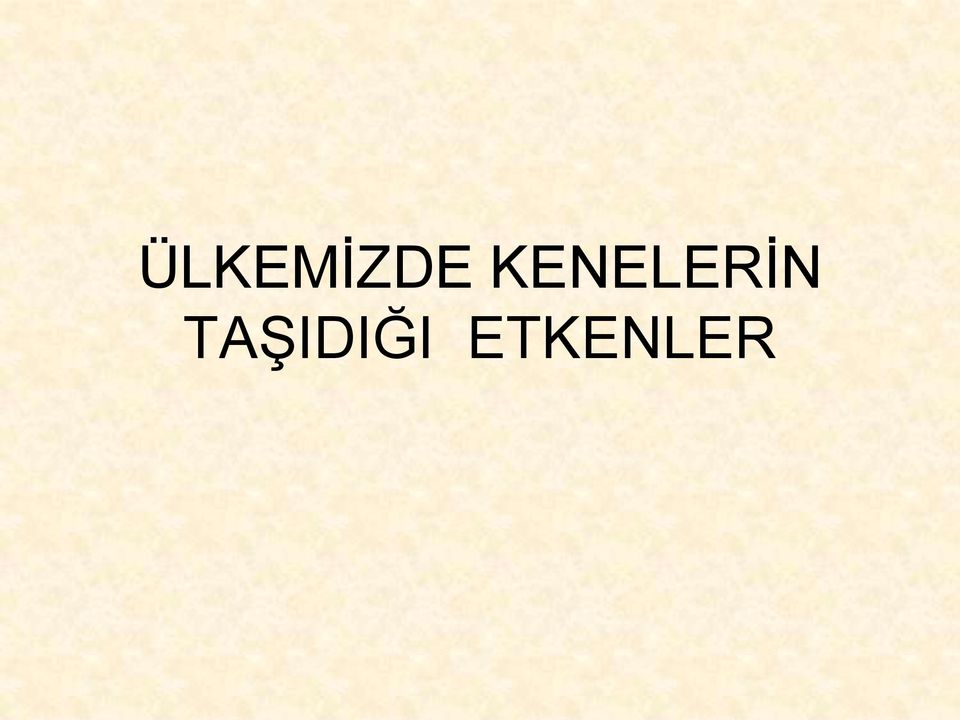 TAŞIDIĞI