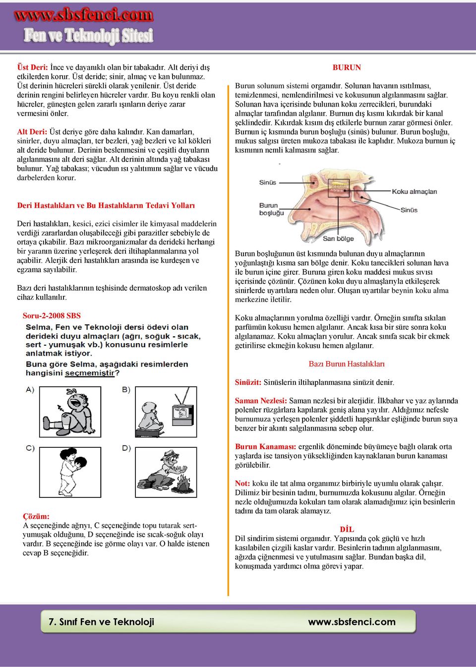 Kan damarları, sinirler, duyu almaçları, ter bezleri, yağ bezleri ve kıl kökleri alt deride bulunur. Derinin beslenmesini ve çeşitli duyuların algılanmasını alt deri sağlar.