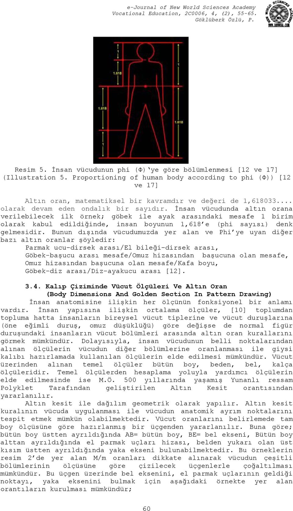 İnsan vücudunda altın orana verilebilecek ilk örnek; göbek ile ayak arasındaki mesafe 1 birim olarak kabul edildiğinde, insan boyunun 1,618 e (phi sayısı) denk gelmesidir.