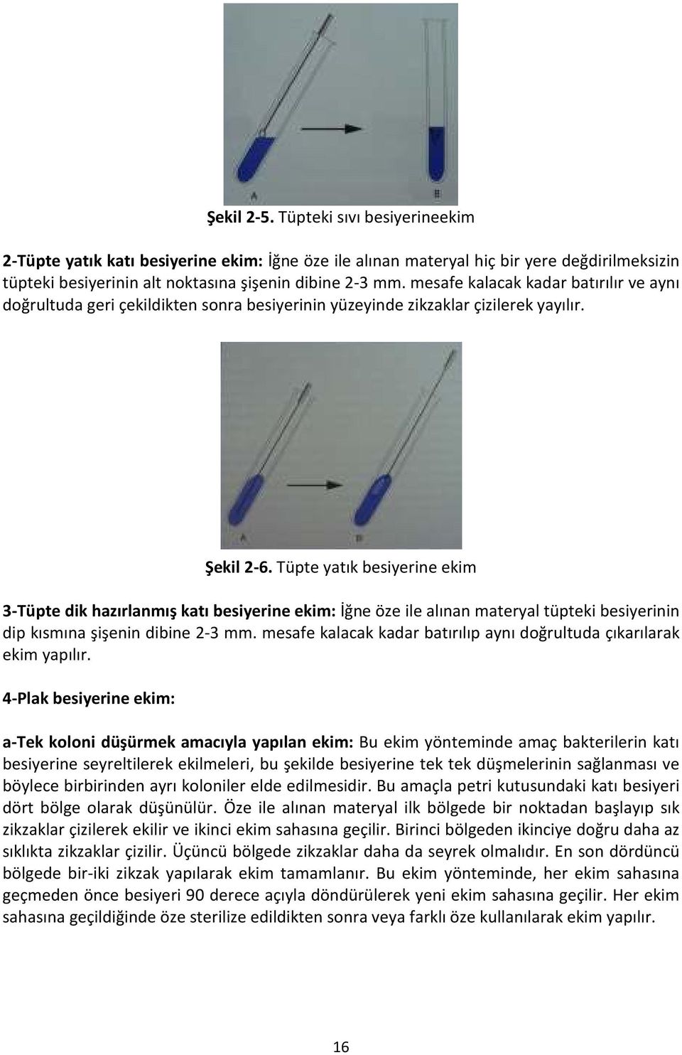 Tüpte yatık besiyerine ekim 3-Tüpte dik hazırlanmış katı besiyerine ekim: İğne öze ile alınan materyal tüpteki besiyerinin dip kısmına şişenin dibine 2-3 mm.