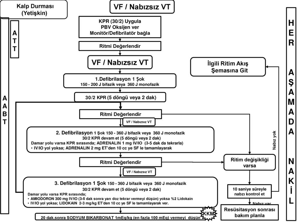 efibrilasyon 1 ok 150-360 J bifazik veya 360 J monofazik 30/2 P devam et (5 döngü veya 2 dak) amar yolu varsa P sırasında; I 1 mg IV/IO (3-5 dak da tekrarla) IV/IO yol yoksa; I 2 mg den 10 cc ye SF