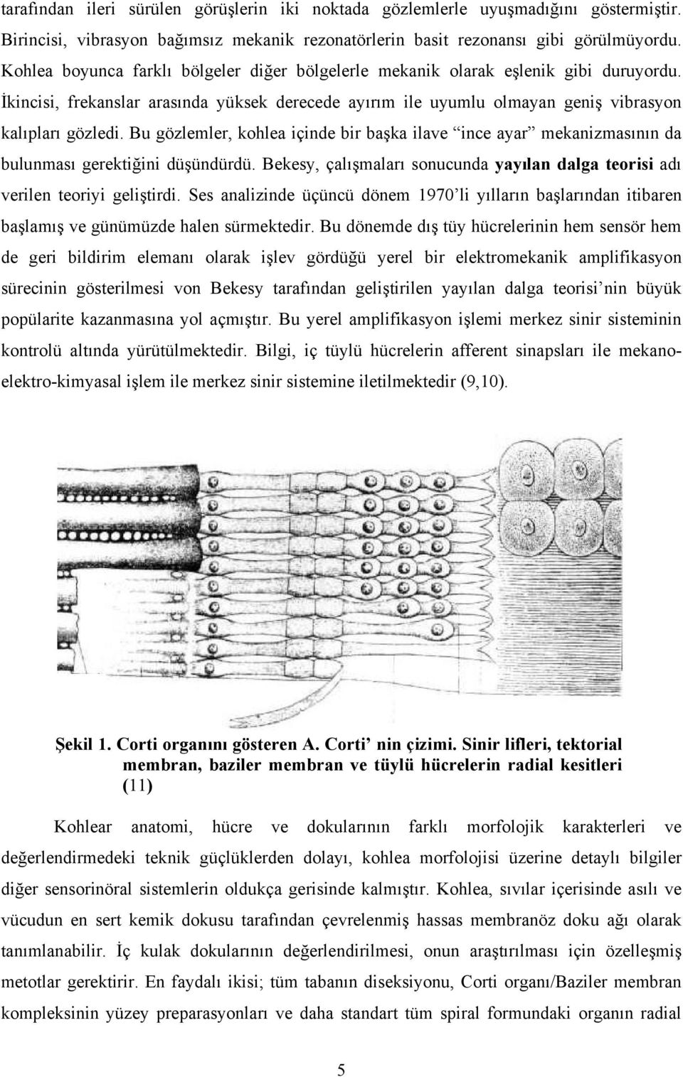 Bu gözlemler, kohlea içinde bir başka ilave ince ayar mekanizmasının da bulunması gerektiğini düşündürdü. Bekesy, çalışmaları sonucunda yayılan dalga teorisi adı verilen teoriyi geliştirdi.