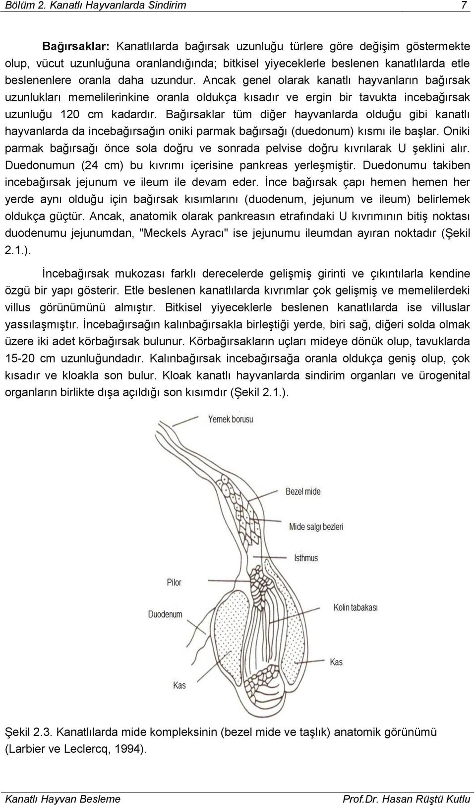 beslenenlere oranla daha uzundur. Ancak genel olarak kanatlı hayvanların bağırsak uzunlukları memelilerinkine oranla oldukça kısadır ve ergin bir tavukta incebağırsak uzunluğu 120 cm kadardır.