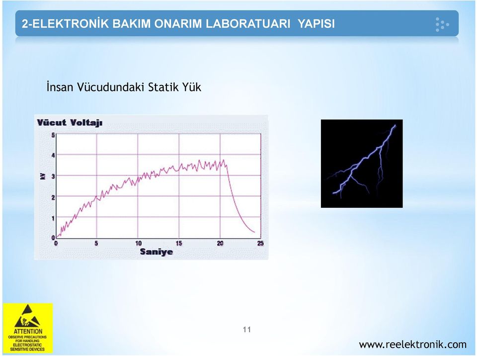 YAPISI İnsan