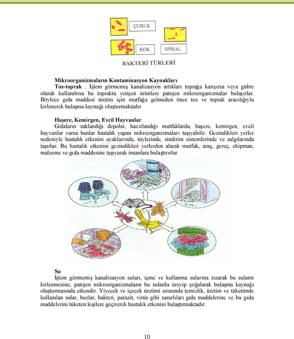 mutfaklarda, ha ere, kemirgen, evcil hayvanlar varsa bunlar hastal k yapan mikroorganizmalarta yabili Gezindikleri yerler nedeniyle hastal k etkenini ayaklar nda, tüylerinde, sindirim sistemlerinde