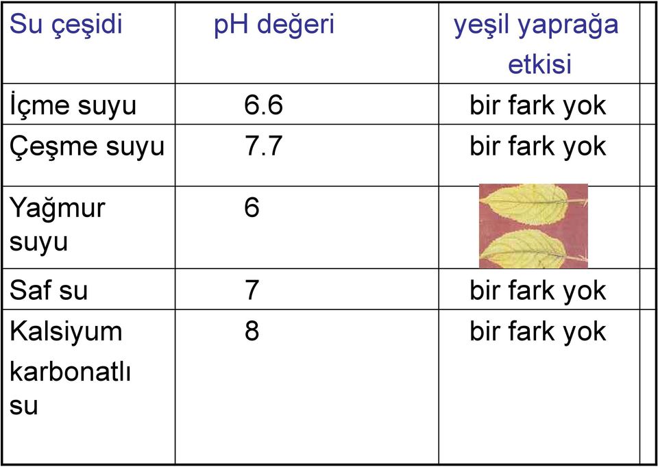 7 bir fark yok Yağmur suyu 6 Saf su 7 bir