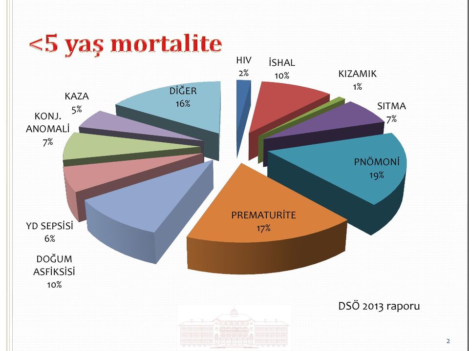 KIZAMIK 1% SITMA 7% PNÖMONİ 19% YD