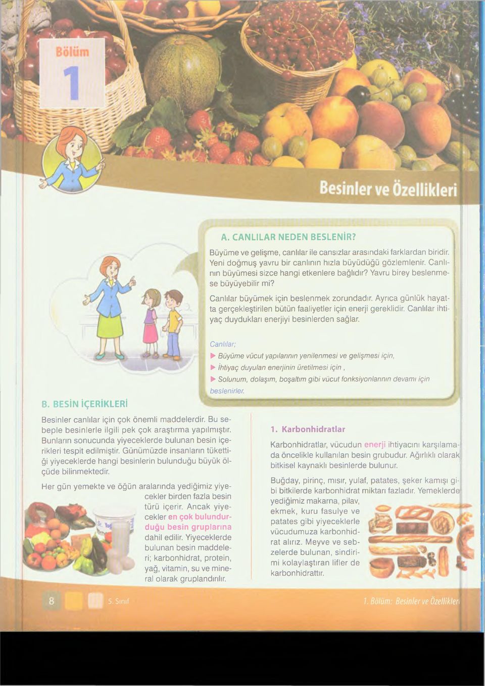 Ayrıca günlük hayatta gerçekleştirilen bütün faaliyetler için enerji gereklidir. Canlılar ihtiyaç duydukları enerjiyi besinlerden sağlar. B.