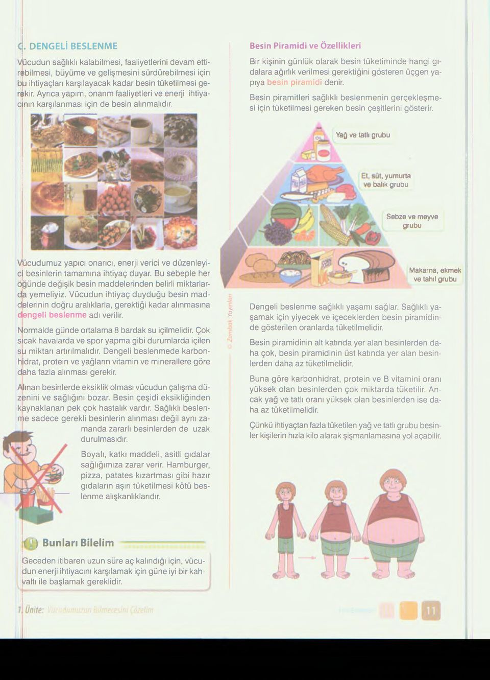 Besin Piramidi ve Özellikleri Bir kişinin günlük olarak besin tüketiminde hangi gıdalara ağırlık verilmesi gerektiğini gösteren üçgen yapıya besin piramidi denir.