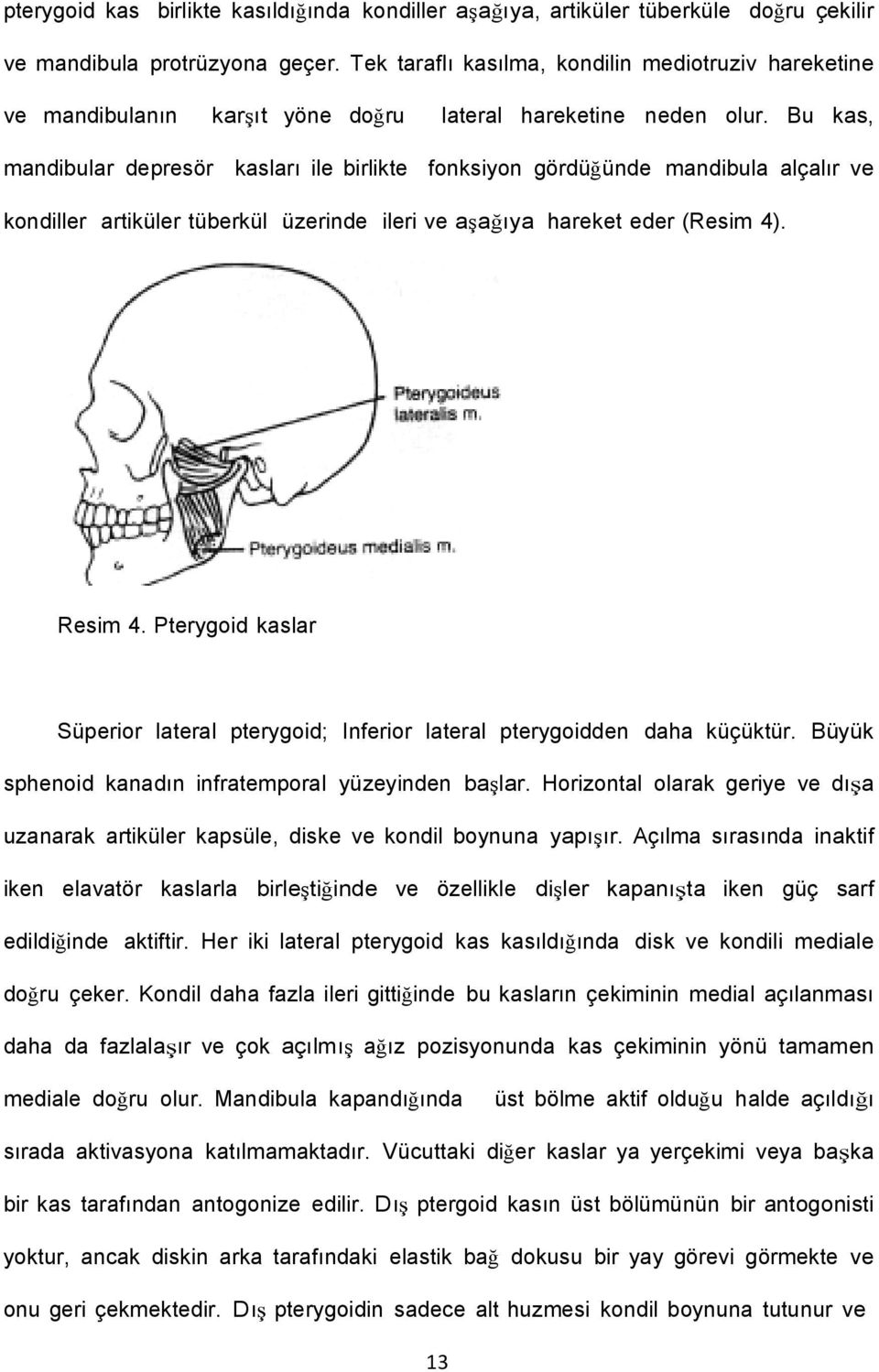 Bu kas, mandibular depresör kasları ile birlikte fonksiyon gördüğünde mandibula alçalır ve kondiller artiküler tüberkül üzerinde ileri ve aşağıya hareket eder (Resim 4). Resim 4.