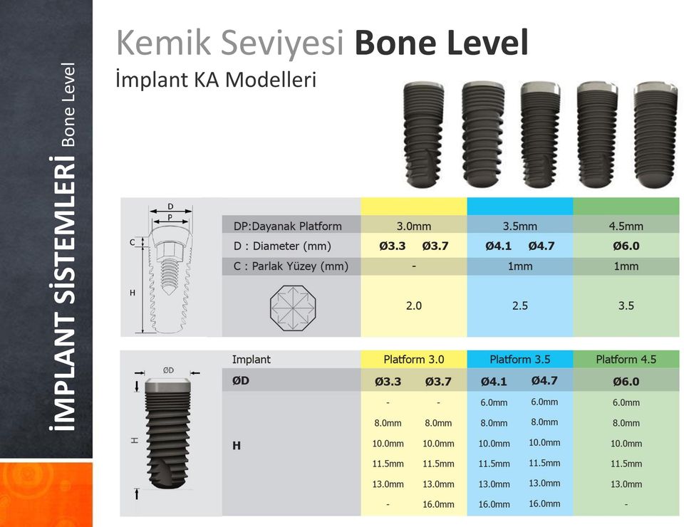 Seviyesi Bone