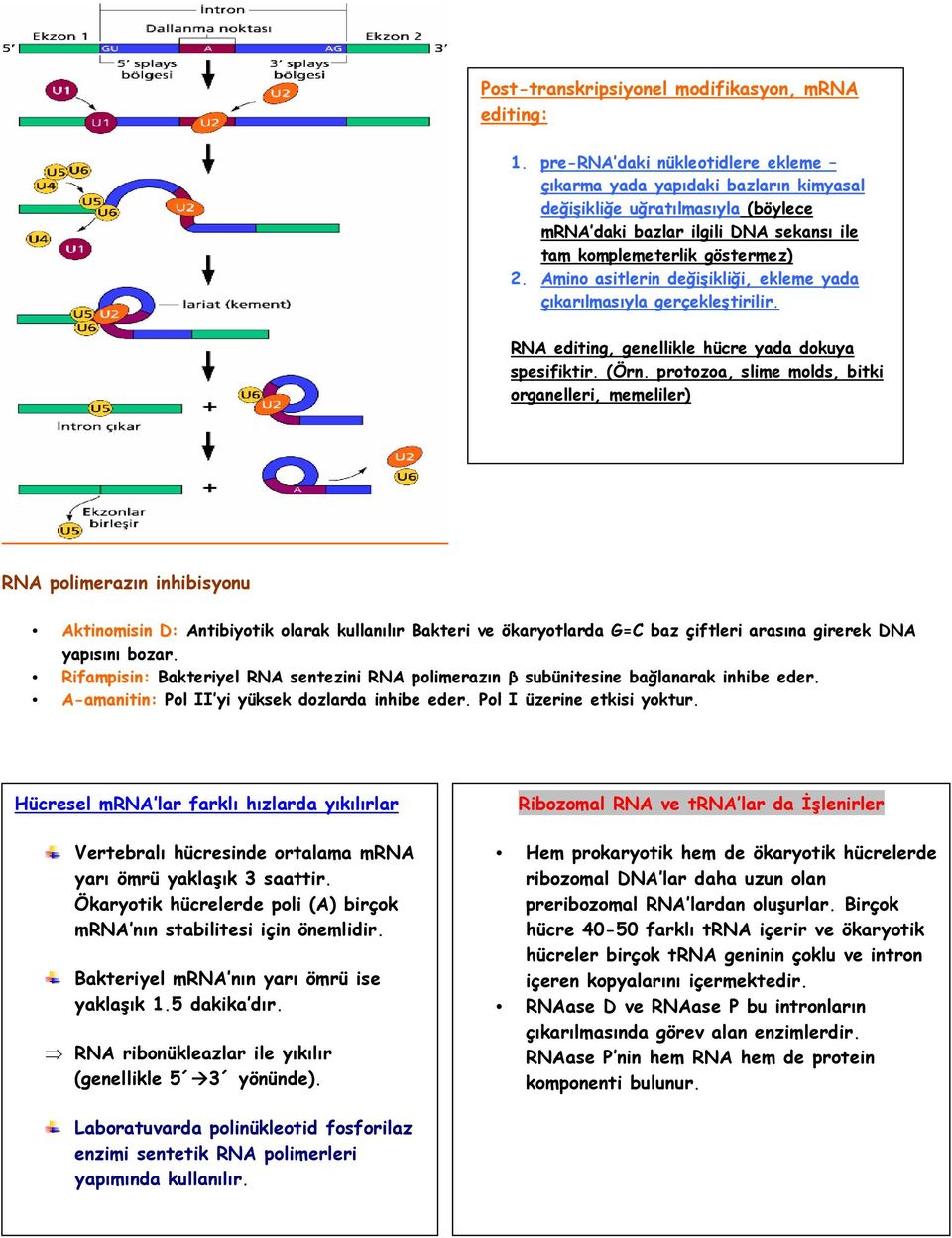 Amino asitlerin değişikliği, ekleme yada çıkarılmasıyla gerçekleştirilir. RNA editing, genellikle hücre yada dokuya spesifiktir. (Örn.