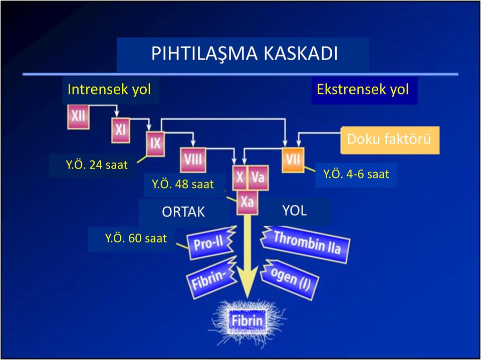 24 saat Y.Ö.