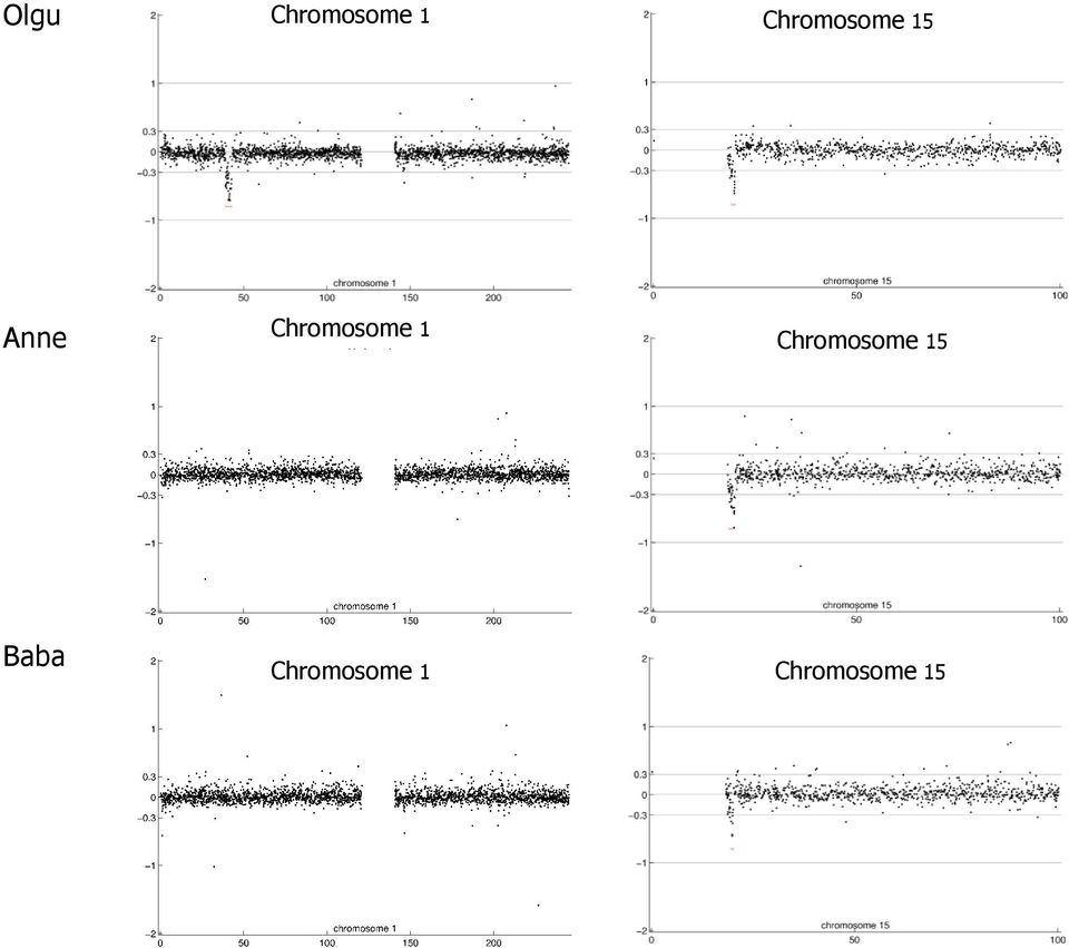 Chromosome 1 Chromosome