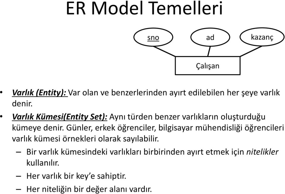 Günler, erkek öğrenciler, bilgisayar mühendisliği öğrencileri varlık kümesi örnekleri olarak sayılabilir.