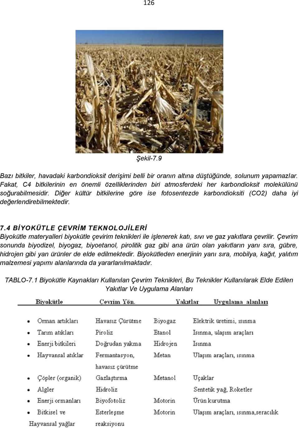 Diğer kültür bitkilerine göre ise fotosentezde karbondioksiti (CO2) daha iyi değerlendirebilmektedir. 7.