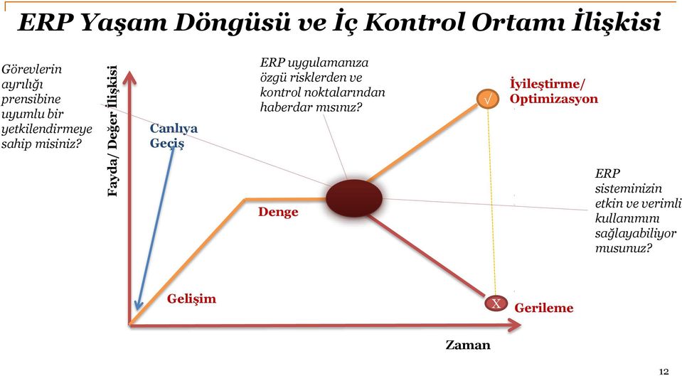 Canlıya Geçiş ERP uygulamanıza özgü risklerden ve kontrol noktalarından haberdar mısınız?