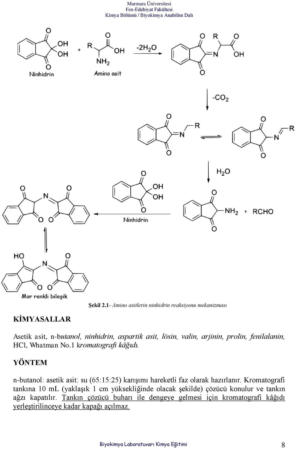 prolin, fenilalanin, HCl, Whatman No.1 kromatografi kâğıdı.