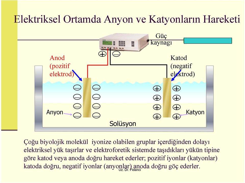 içerdiğinden dolayı elektriksel yük taşırlar ve elektroforetik sistemde taşıdıkları yükün tipine göre katod veya