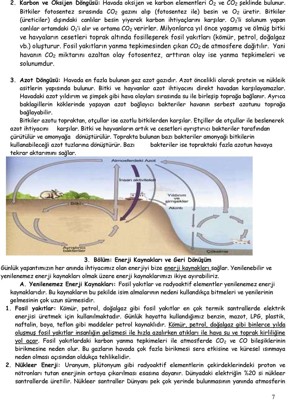 Milyonlarca yıl önce yaşamış ve ölmüş bitki ve havyaların cesetleri toprak altında fosilleşerek fosil yakıtları (kömür, petrol, doğalgaz vb.) oluşturur.