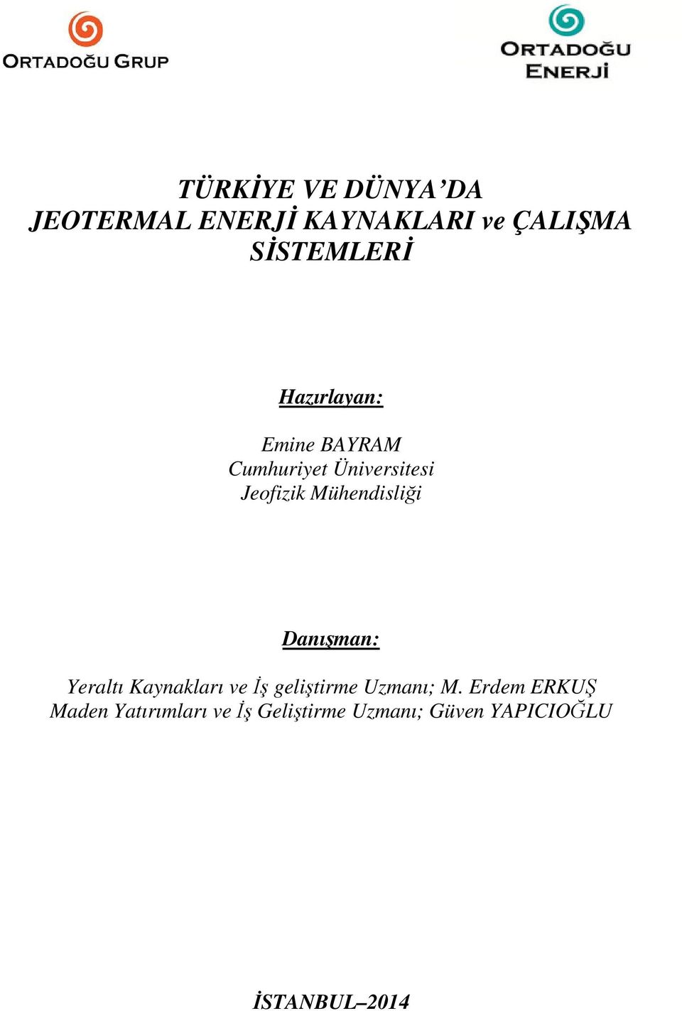 Danışman: Yeraltı Kaynakları ve İş geliştirme Uzmanı; M.