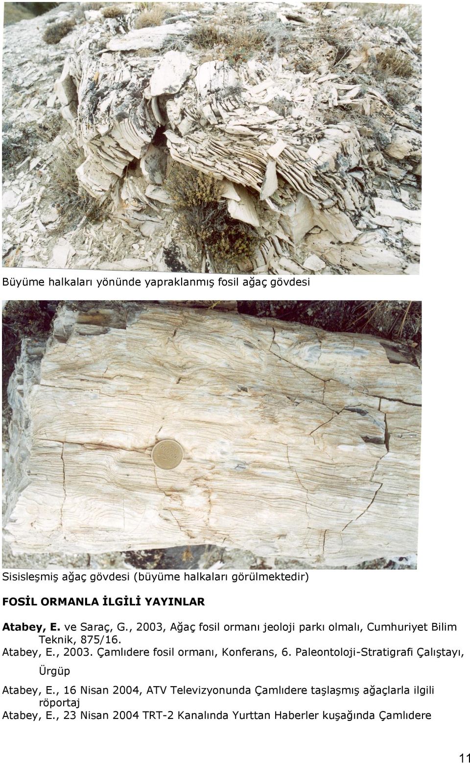 Paleontoloji-Stratigrafi Çalıştayı, Ürgüp Atabey, E.