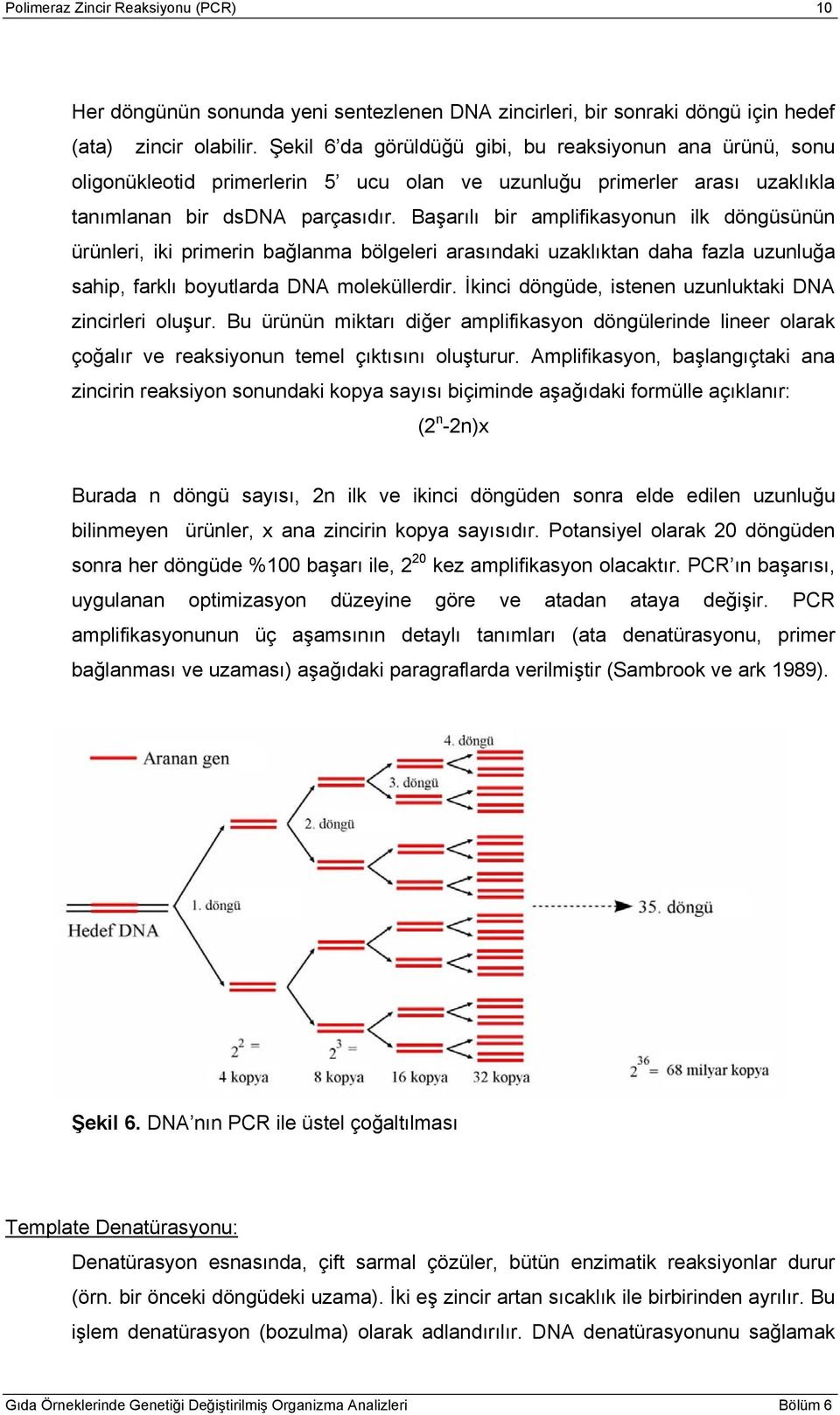 Başarılı bir amplifikasyonun ilk döngüsünün ürünleri, iki primerin bağlanma bölgeleri arasındaki uzaklıktan daha fazla uzunluğa sahip, farklı boyutlarda DNA moleküllerdir.