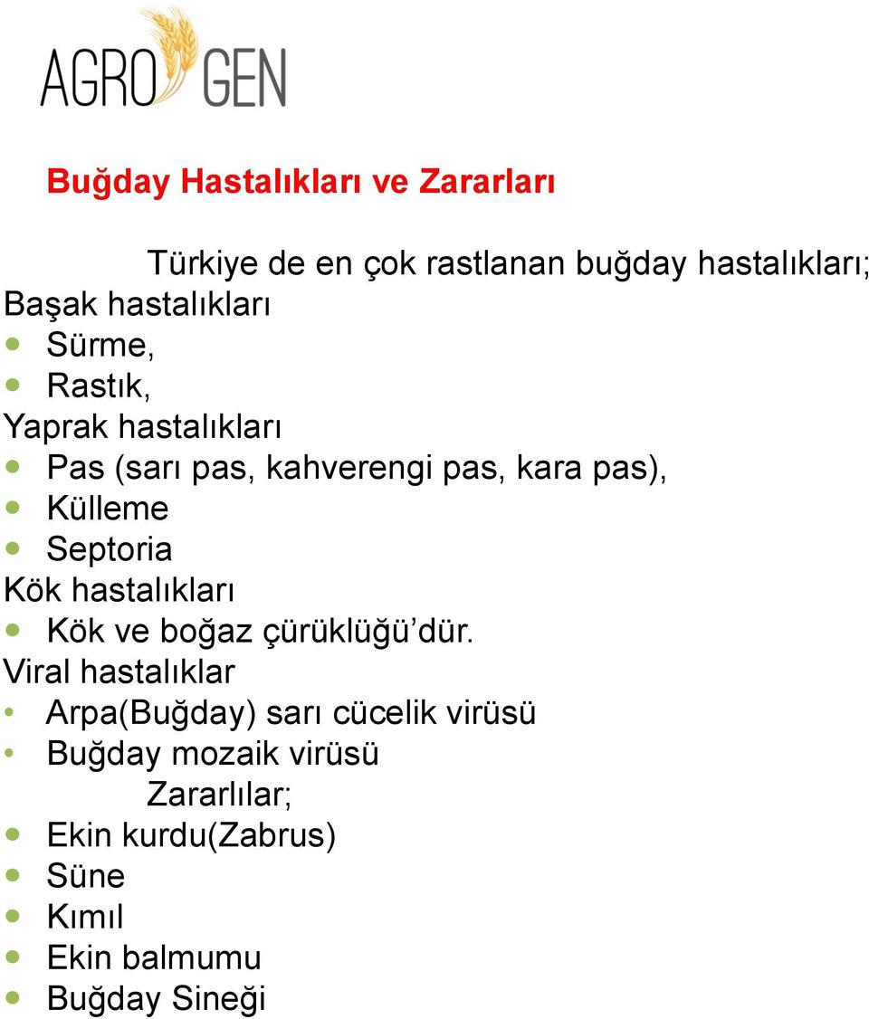 Külleme Septoria Kök hastalıkları Kök ve boğaz çürüklüğü dür.