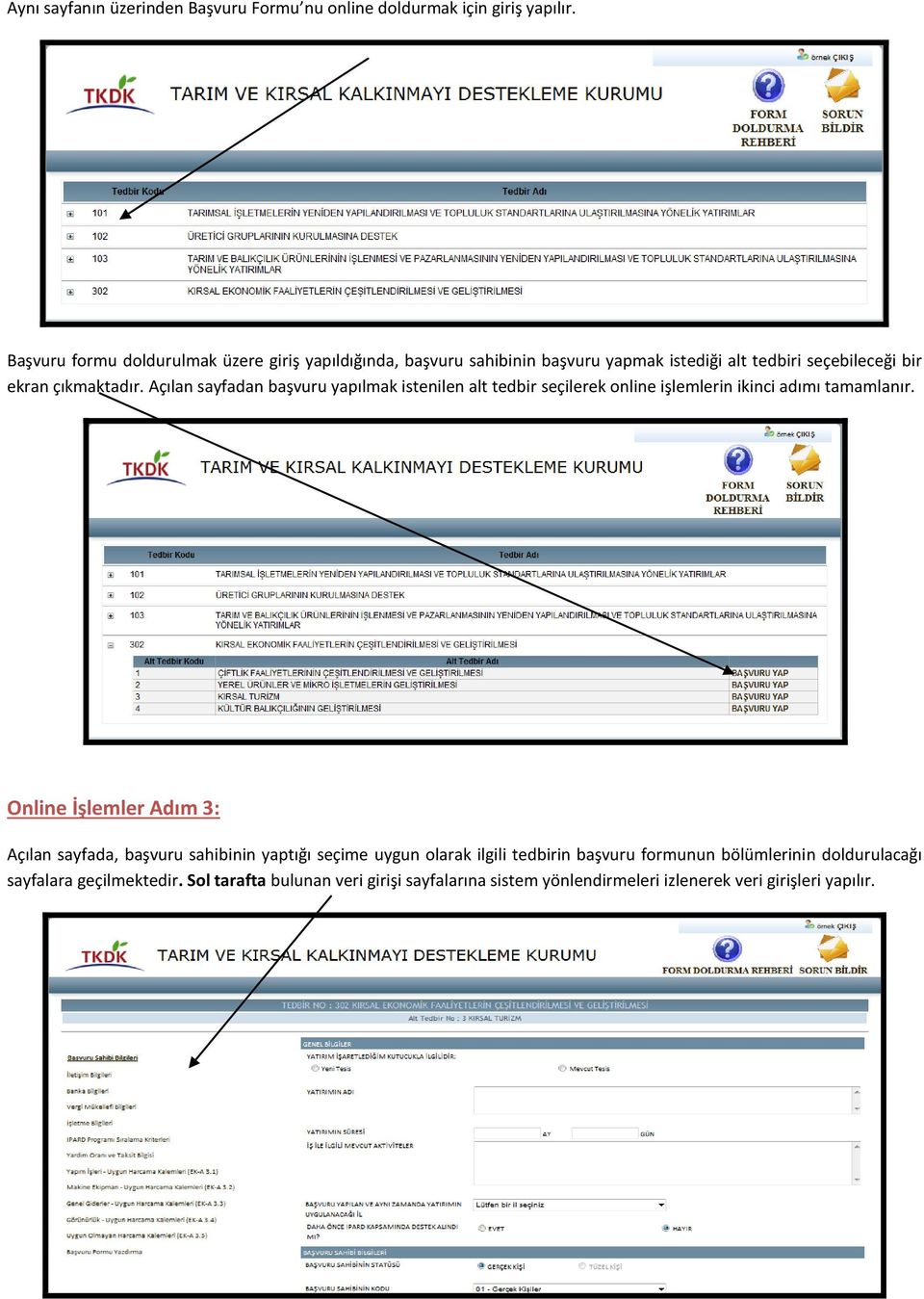 Açılan sayfadan başvuru yapılmak istenilen alt tedbir seçilerek online işlemlerin ikinci adımı tamamlanır.