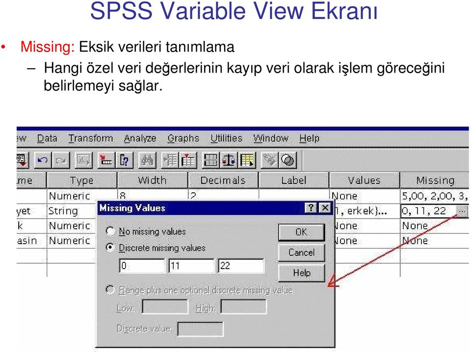 veri değerlerinin kayıp veri olarak