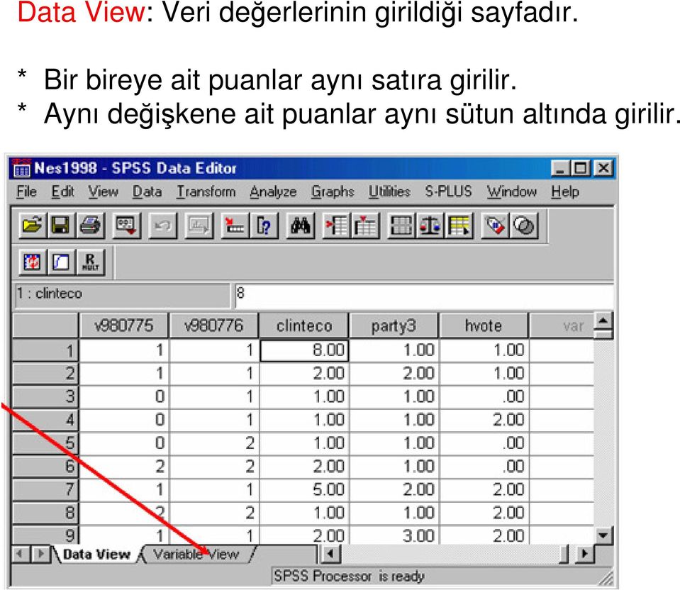 * Bir bireye ait puanlar aynı satıra