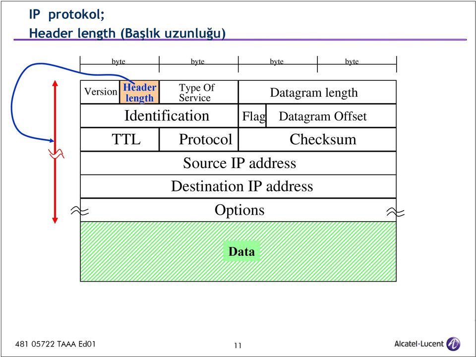 length Identification Flag Datagram Offset TTL Protocol