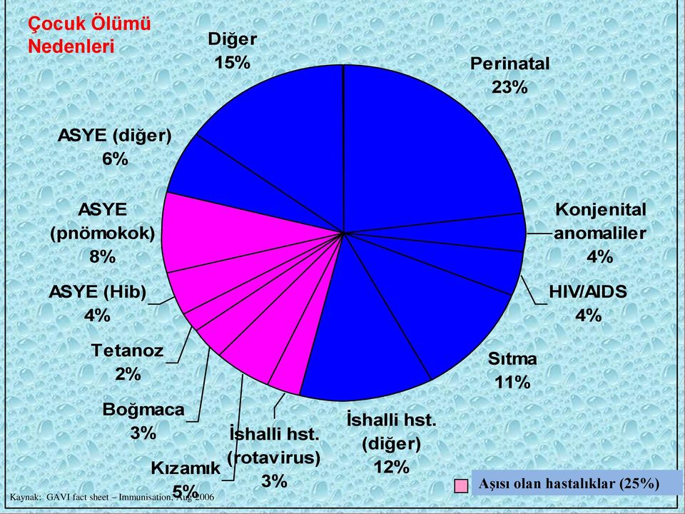 fact sheet Immunisation, Aug 2006 İshalli hst. (rotavirus) İshalli hst.