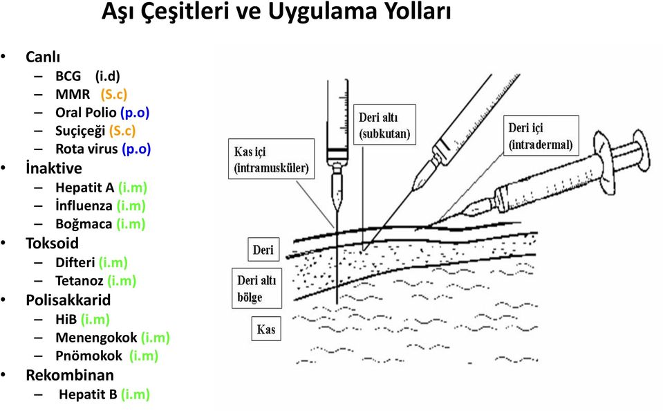 m) Boğmaca (i.m) Toksoid Difteri (i.m) Tetanoz (i.