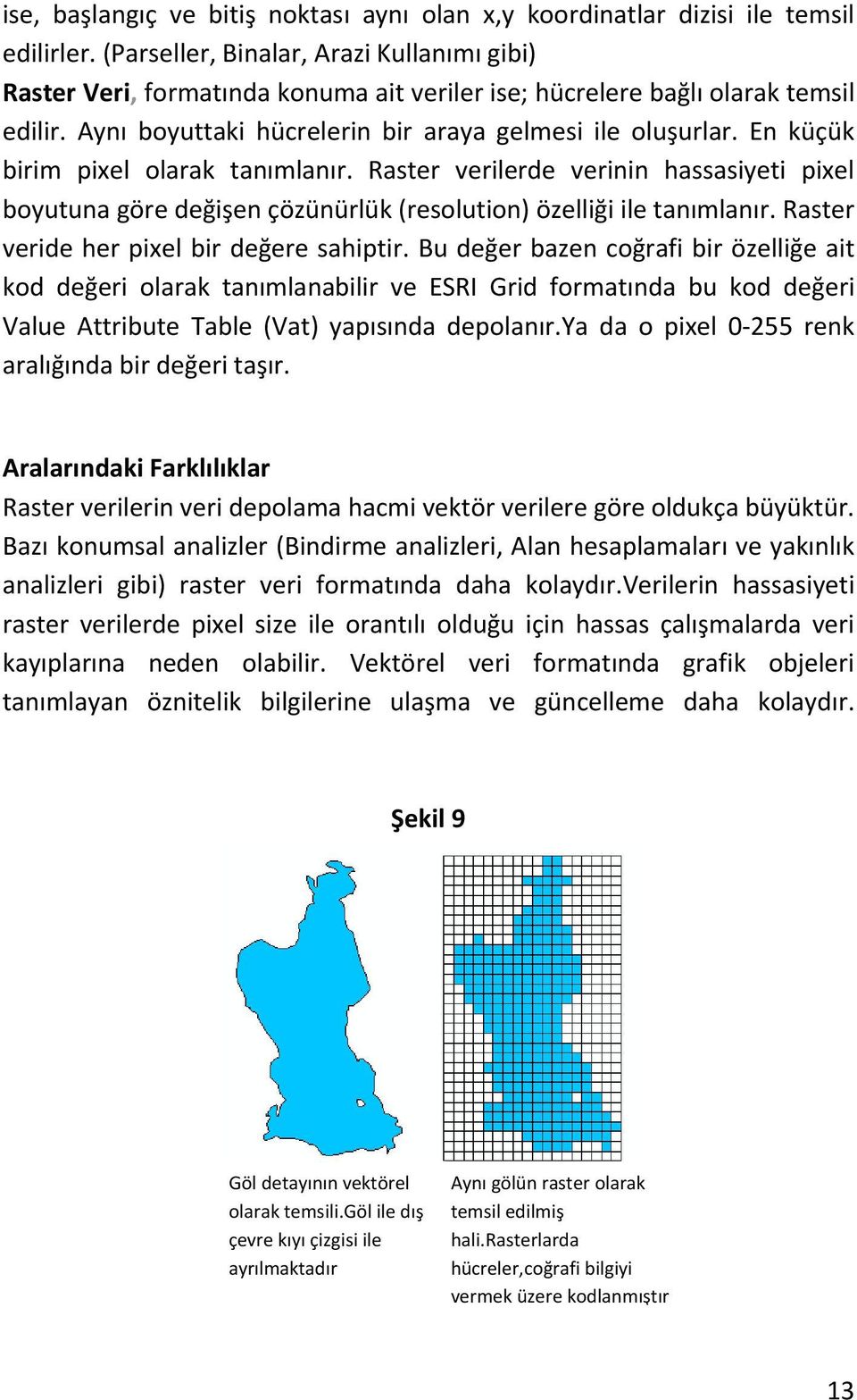 En küçük birim pixel olarak tanımlanır. Raster verilerde verinin hassasiyeti pixel boyutuna göre değişen çözünürlük (resolution) özelliği ile tanımlanır. Raster veride her pixel bir değere sahiptir.