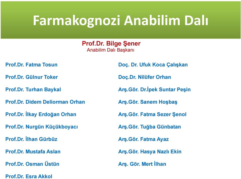 Dr. Osman Üstün Doç. Dr. Ufuk Koca Çalışkan Doç.Dr. Nilüfer Orhan Arş.Gör. Dr.İpek Suntar Peşin Arş.Gör. Sanem Hoşbaş Arş.Gör. Fatma Sezer Şenol Arş.