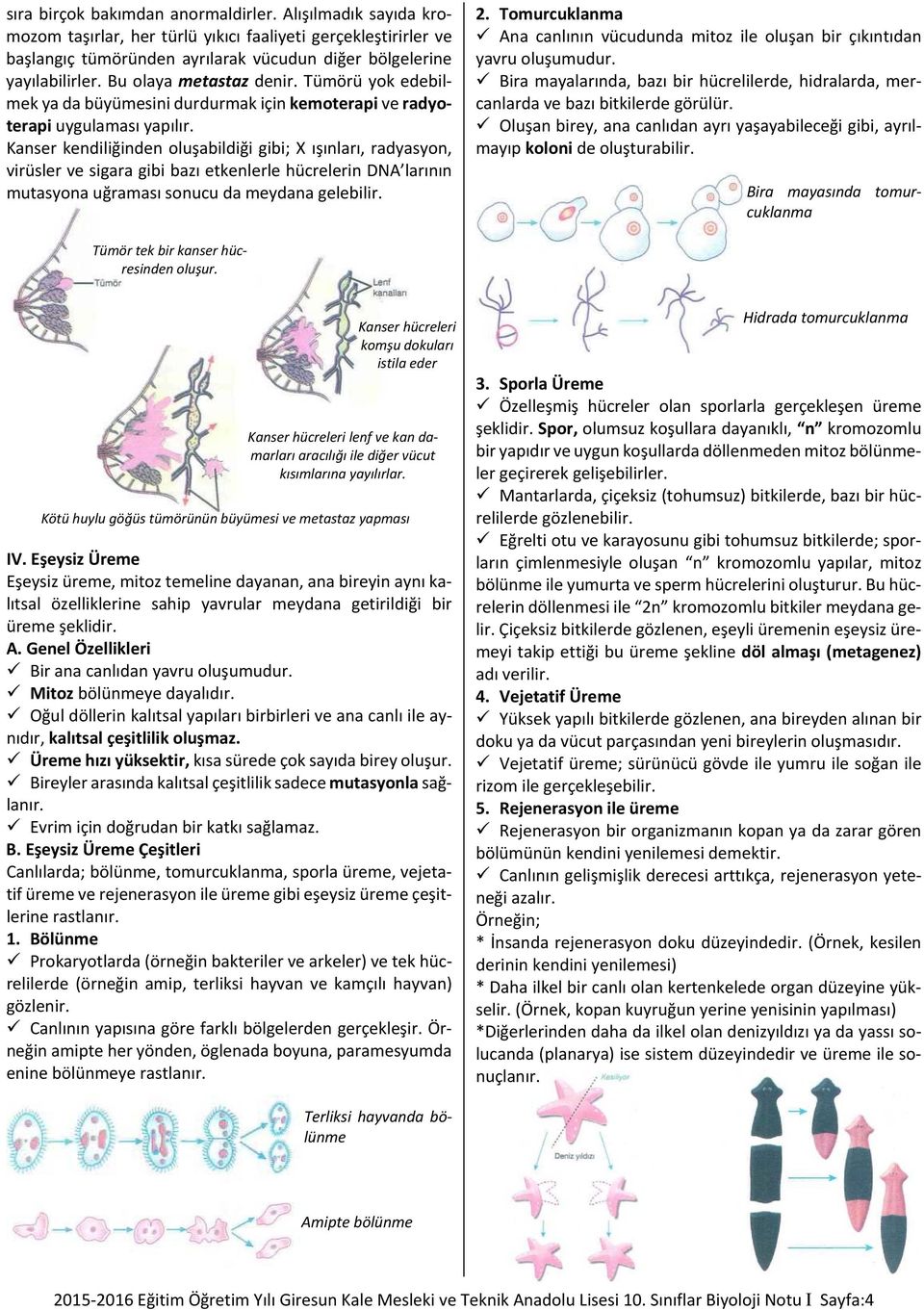 Kanser kendiliğinden oluşabildiği gibi; X ışınları, radyasyon, virüsler ve sigara gibi bazı etkenlerle hücrelerin DNA larının mutasyona uğraması sonucu da meydana gelebilir. 2.