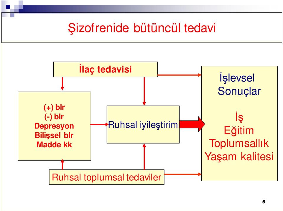 Ruhsal iyileştirim İşlevsel Sonuçlar İş Eğitim