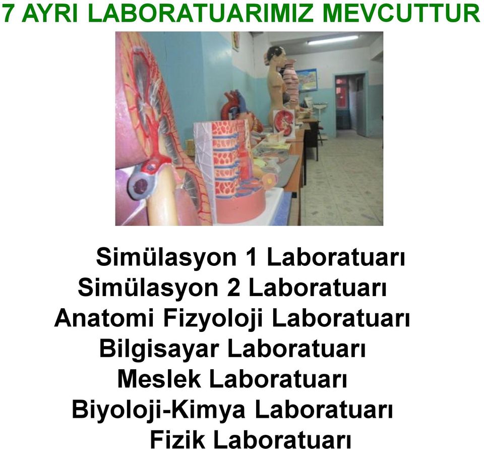 Fizyoloji Laboratuarı Bilgisayar Laboratuarı