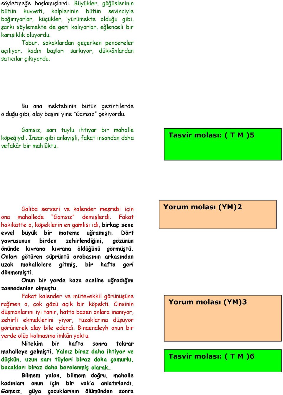 Tabur, sokaklardan geçerken pencereler açılıyor, kadın başları sarkıyor, dükkânlardan satıcılar çıkıyordu. Bu ana mektebinin bütün gezintilerde olduğu gibi, alay başını yine Gamsız çekiyordu.