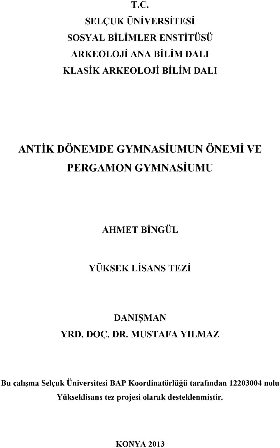 YÜKSEK LİSANS TEZİ DANIŞMAN YRD. DOÇ. DR.